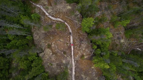 mountain bikers climbing uphill in dense mountain forest