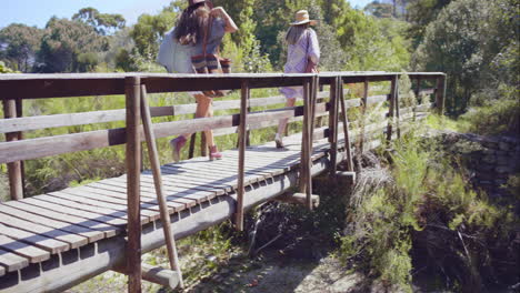 two beautiful friends on adventure trail wooden bridge looking at nature