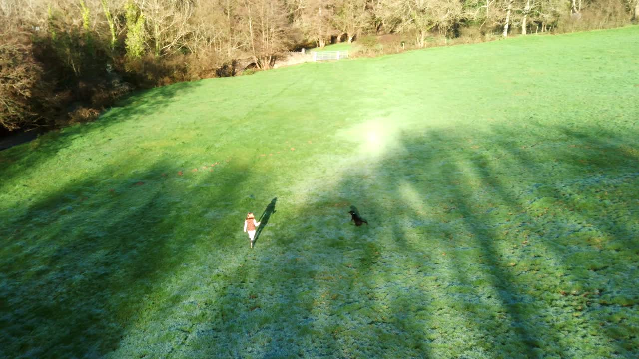 작은 들판에서 개를 산책시키는 여인