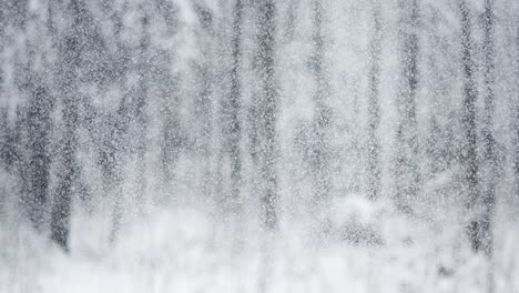 Winterlandschaft-Bei-Schneefall.-Abstrakter-Hintergrund-Für-Winterweihnachten-In-Superzeitlupe.