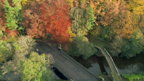 north york moors, yorkshire river esk drone footage, flight over beggars bridge glaisdale, brown and red autumnal trees, phantom 4 aerial - autumn clip 10
