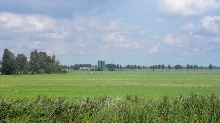 Fattoria lattiero-casearia con silos, carrellata.