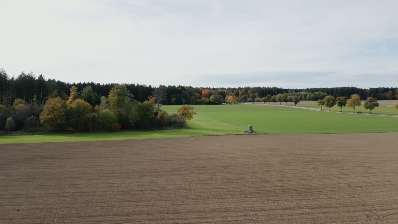отправляйтесь в визуальное путешествие через осеннюю магию, когда наш дрон захватывает захватывающее дыхание гобелена и спокойную атмосферу леса, окрашенного в теплые оттенки осени