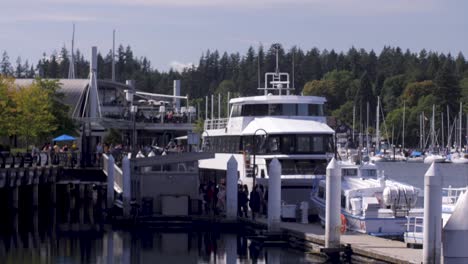 yachts in the vancouver marina