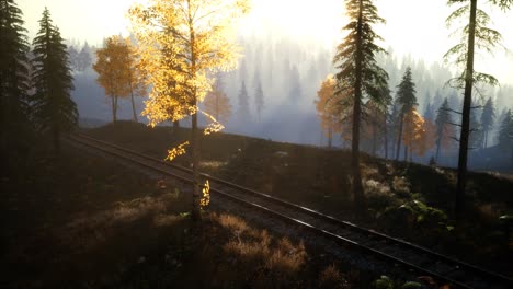 national forest recreation area and the fog with railway