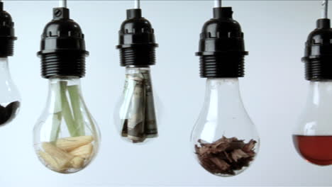 light bulbs containing plant matter folded money and red liquid hang in a row against a white background