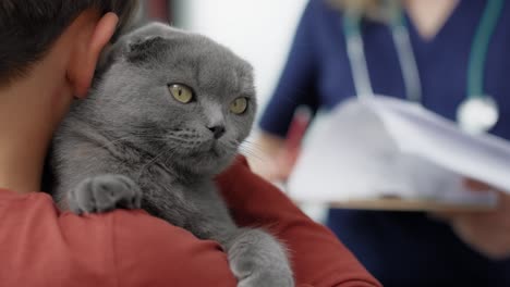 little boy holding cat before visit at veterinarian.