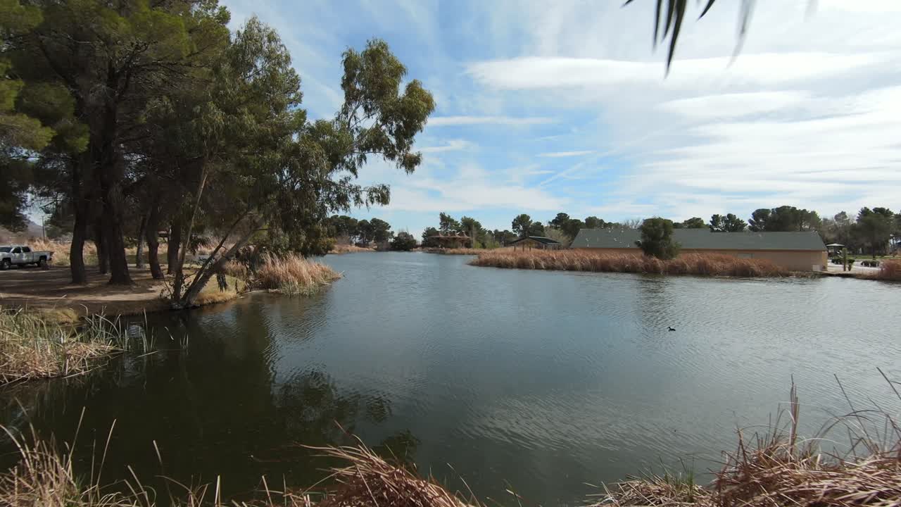 empujando hacia adelante entre los árboles y debajo de las ramas y sobre un estanque con patos en un día soleado