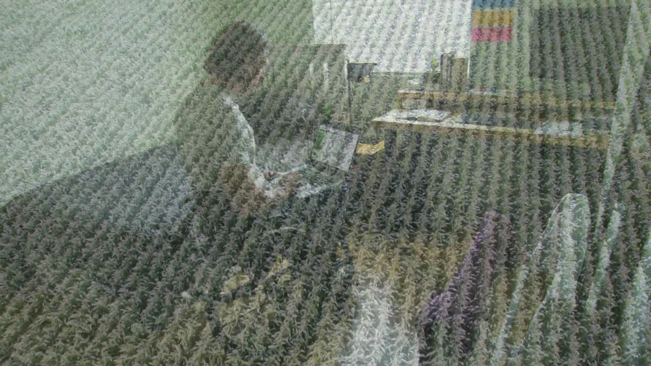 Working on laptop at desk, person creating animation with textured overlay