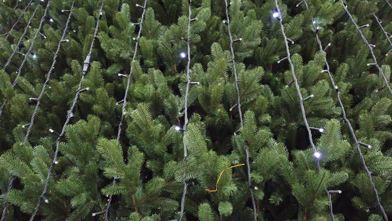 Christmas tree