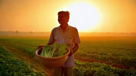 farmer at sunrise with a basket of vegetables