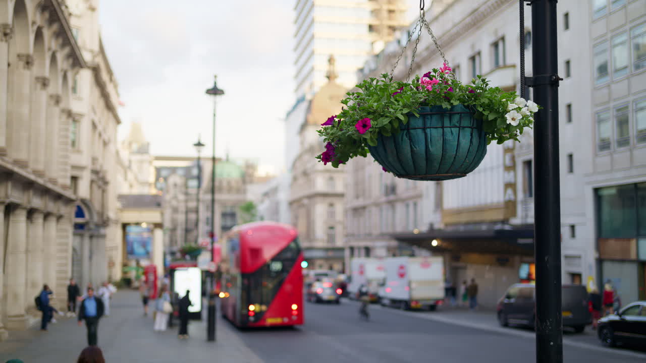 Close up of a pot with flowers with a blurred view of red double-deckers and people moving on the street in London, England