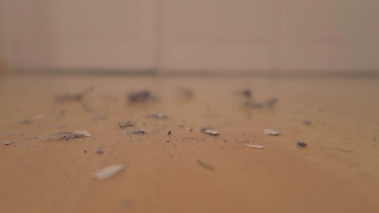 먼지로 가득 찬 더러운 바닥에서 클로즈업, 큰 깊이의 필드와 함께 바닥에 가까운 에서 리