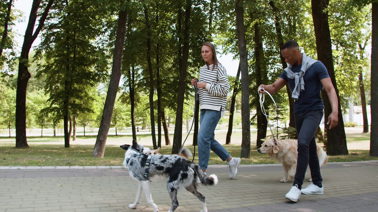 una pareja joven con mascotas en el parque.