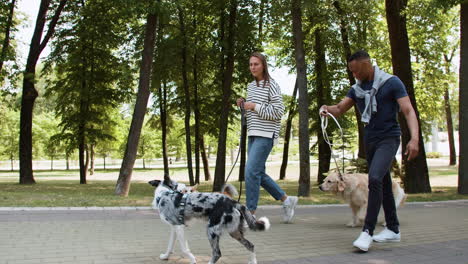 Junges-Paar-Mit-Haustieren-Im-Park