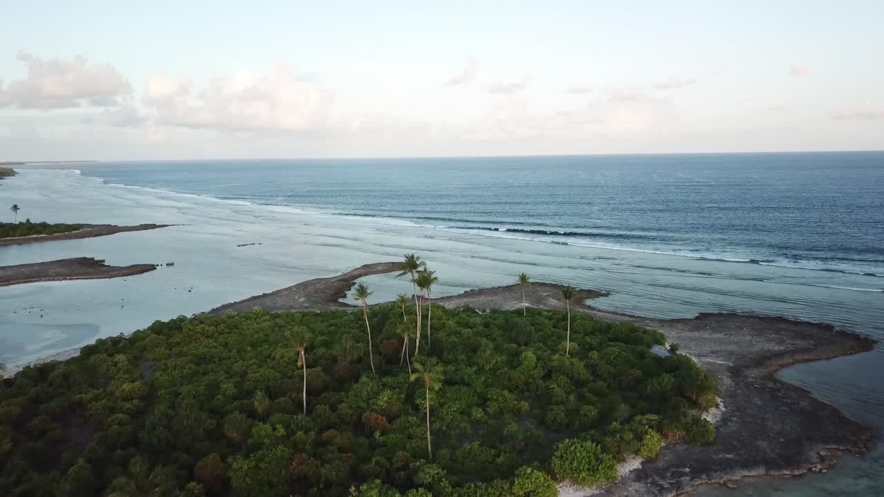 vuelo aéreo sobre las palmeras tarawa kiribati