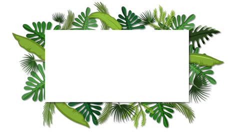 animated tropical leaves encircling a blank space