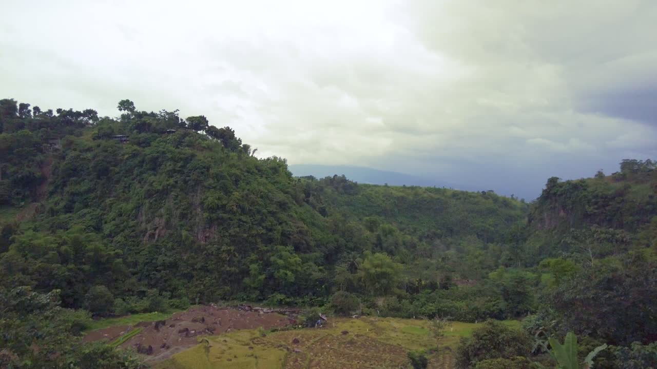 toma panorámica ascendente desde el bosque hasta el cielo nublado