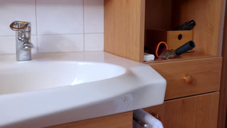 un ratón involucrado en travesuras en el baño - tiro de muñeca