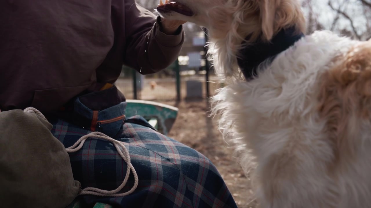Una donna siede all'aperto con un cane, dandogli da mangiare a mano. Indossa abiti casual, tra cui una gonna a quadri e una felpa marrone, mentre il cane dal pelo bianco accetta avidamente il cibo a bocca aperta.