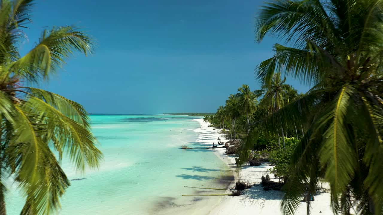 palmeiras na praia de areia com águas azuis cristalinas, maldivas