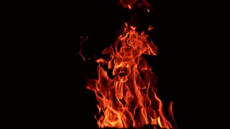 pieces of wood burning in a big campfire. large tongues of flame rising up in the darkness.