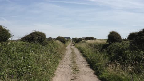 pov: agricultural dirt road leads to old farm house amid crop fields