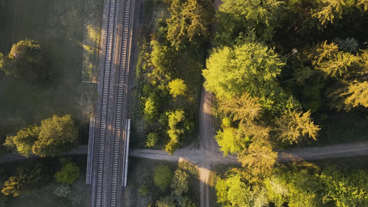 숲을 통과하는 철로와 보도의 하향식 전망