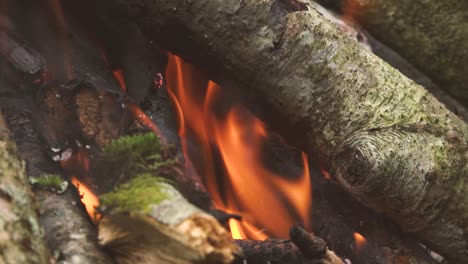 During-the-hike,-a-bonfire-in-nature