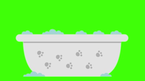 animation of a dog bath on a green screen