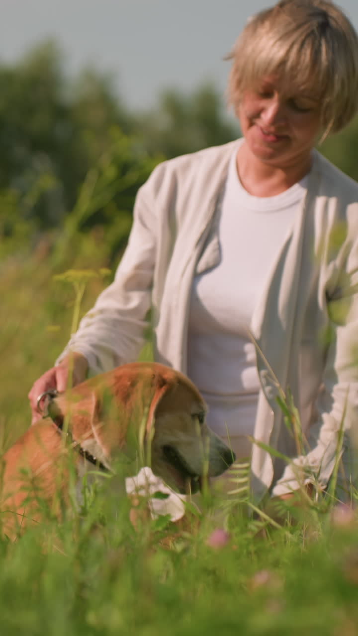 강아지 줄을 들고 있는 여성은 호기심으로 주위를 둘러보는 그녀의 개를 따뜻하게 웃으며, 둘 다 나무와 초록색으로 둘러싸인 풀에 빛으로 목욕합니다.