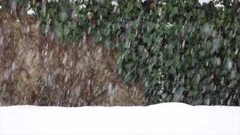 Close-up-of-snowstorm,-pattern-bokeh-and-green-background