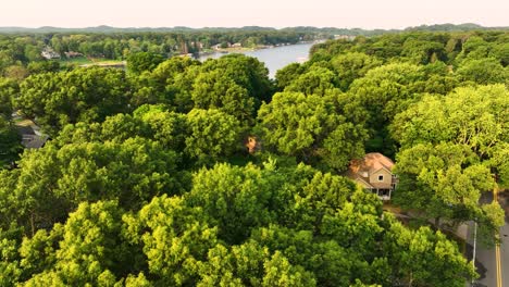 flight above the blooming treetops in muskegon, mi