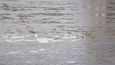 wet cobblestone street with reflections