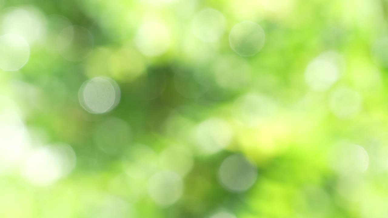 vista de la naturaleza de la hoja verde en un fondo de vegetación borrosa, naturaleza abstracta de fondo verde borroso.