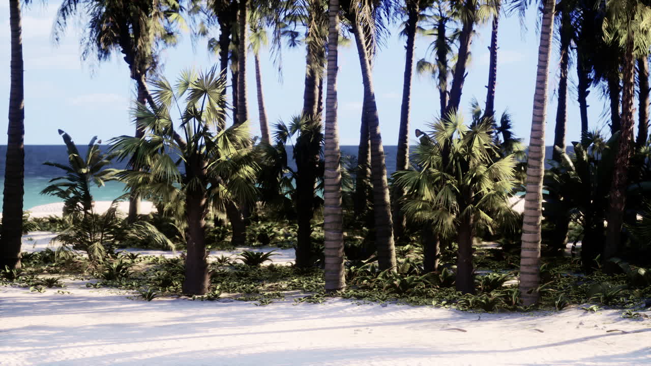 야자수와 열 대 해변