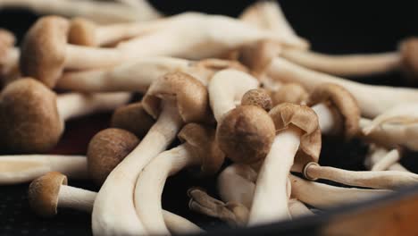 mushrooms in a pan