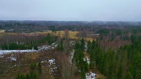 Imágenes-Aéreas-Del-área-Forestal-Del-Parque-Nacional-Kemeri,-Con-Manchas-De-Nieve-Entre-Los-árboles.