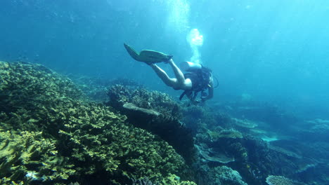 Das-Meer-Hat-So-Viel-Mehr-Zu-Bieten-Als-Nur-Wasser