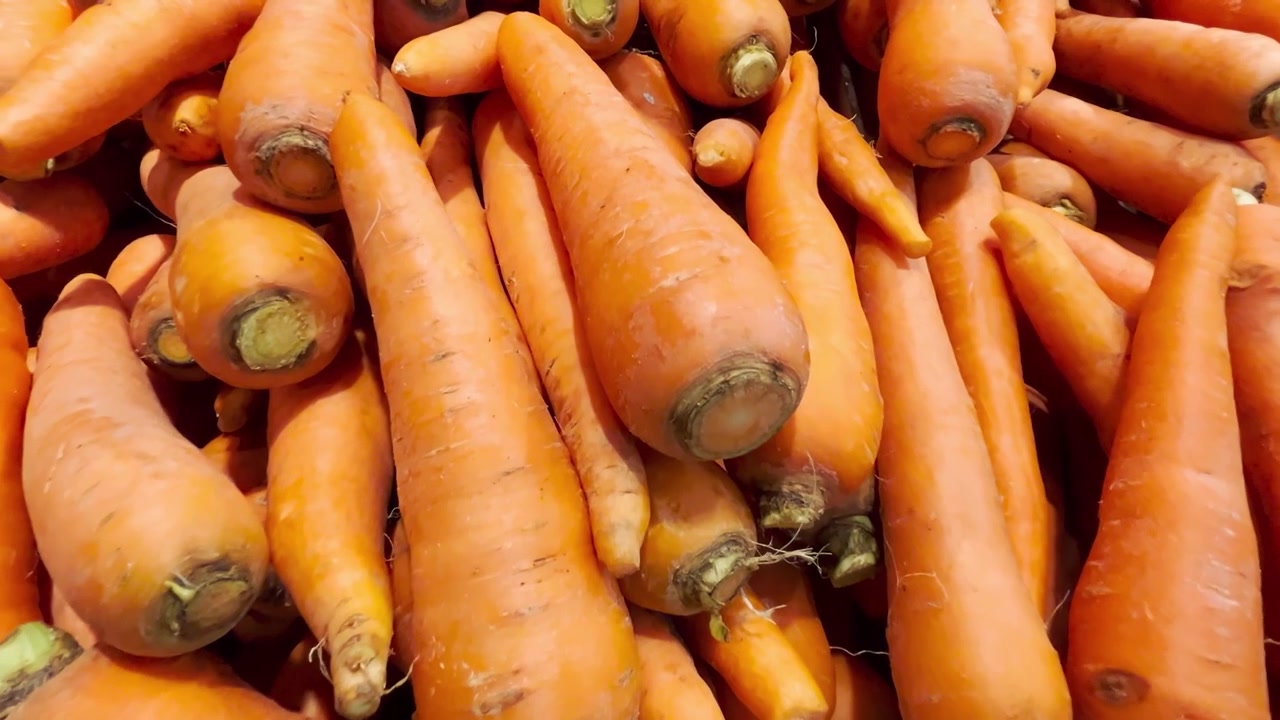 Wortel Organik Segar Dipajang di Toko Bahan Makanan