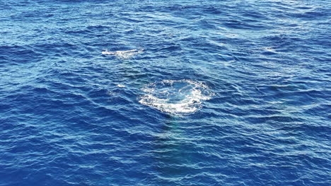 Vista-Aérea-De-La-Cola-De-Ballena-Jorobada-Mientras-Nada-En-Agua-Azul-Del-Océano,-Disparo-De-Drones