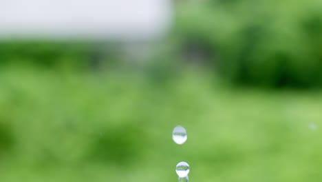 tiny droplets of water splattering amidst a green background