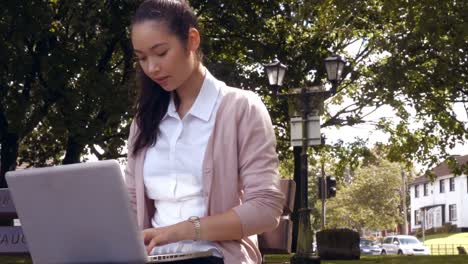 businesswoman using laptop in the park