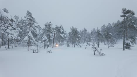 a person riding an snow scooter in a forest during a snowstorm