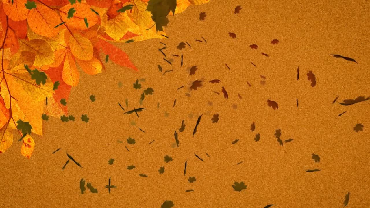 animación de varias hojas de otoño que caen sobre un fondo naranja