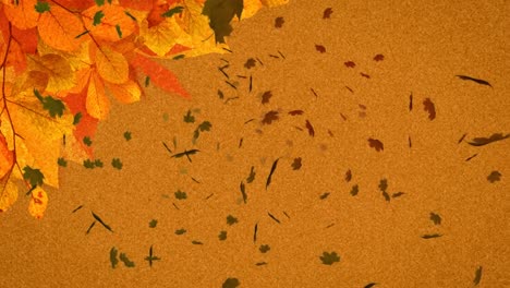 Animation-of-multiple-autumn-leaves-falling-on-orange-background