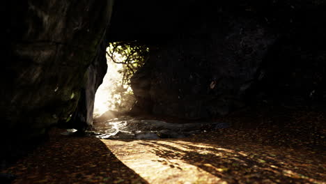 sunlight peeking through a cave entrance