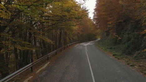 Luftbild:-Alte-Verlassene-Straße-Inmitten-Der-Dichten,-Herbstlich-Gefärbten-Wälder