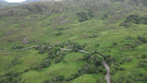 Vista-De-Damas-En-Irlanda-Que-Muestra-Una-Exuberante-Vegetación-Y-Un-Camino-Sinuoso,-Vista-Aérea