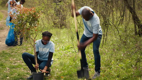 african american volunteers team digging holes and planting trees in a forest